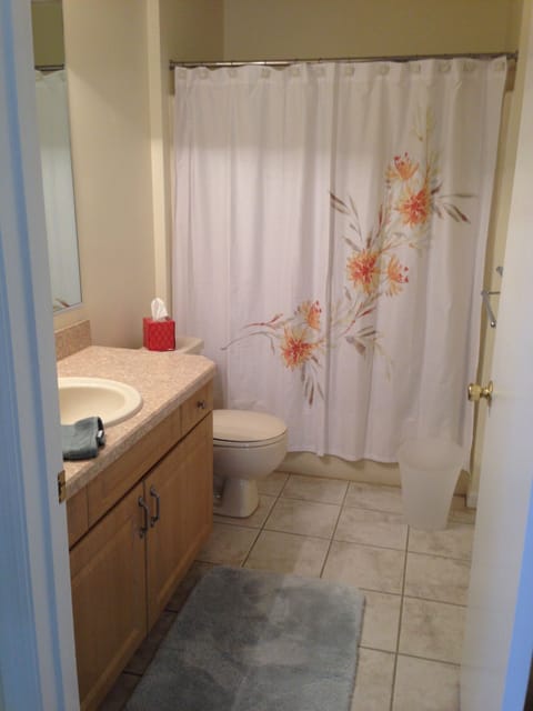 Combined shower/tub, hair dryer, toilet paper