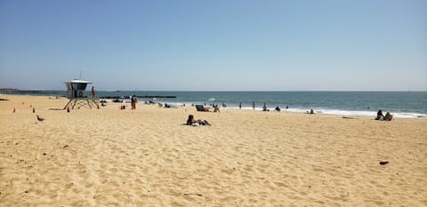 Beach nearby, sun loungers, beach towels