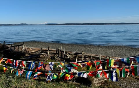 World Flags on the Salish Sea