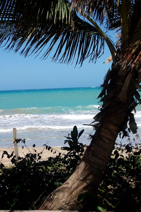 Beach nearby, beach towels