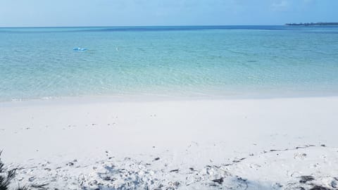 Sun loungers, beach towels