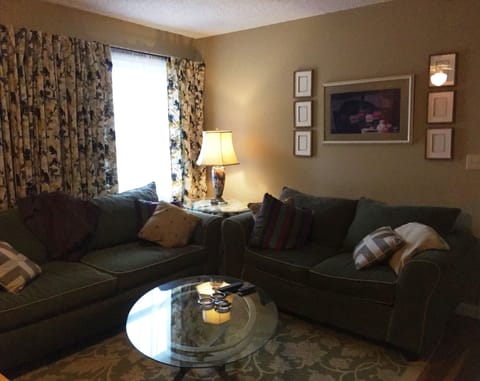 Living area w/ smart tv/streaming stations/dvr.  Fast wi-fi.  