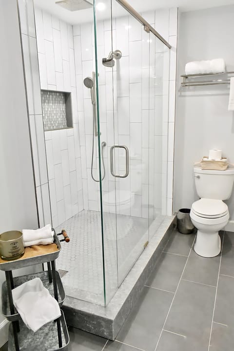 Combined shower/tub, hair dryer, towels