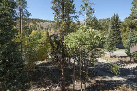 View out front door Summer