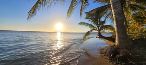 On the beach, sun loungers, beach towels