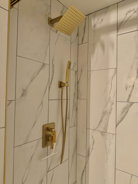 Combined shower/tub, hair dryer, bidet, towels