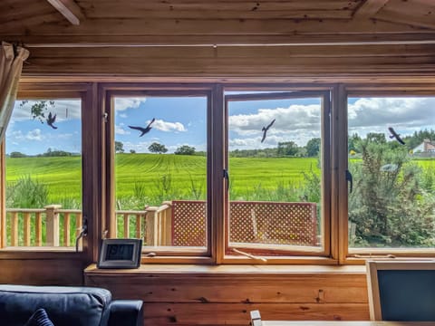 View | Red Kite Cottage, Black Isle
