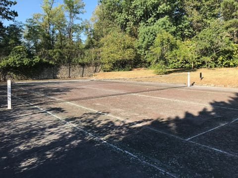 Sport court