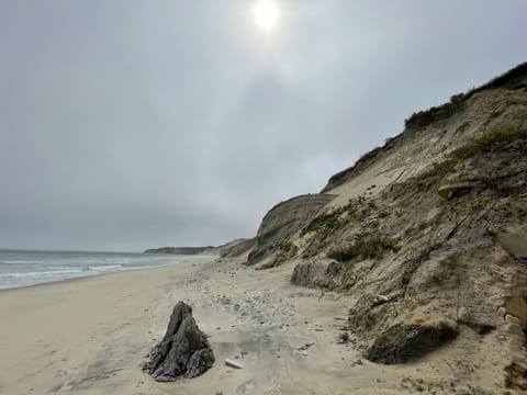 On the beach