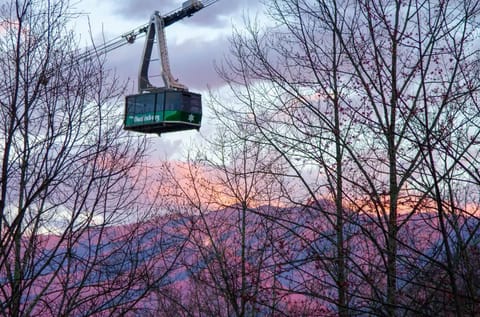 Enjoy your view of the passing tram on its way to Ober, Gatlinburg.