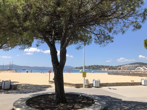 Beach nearby, sun loungers