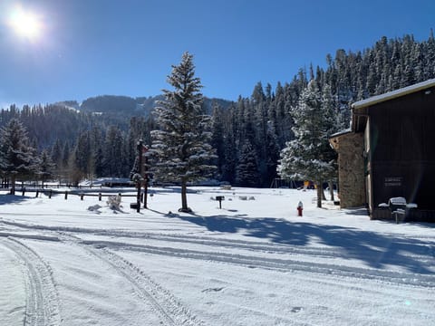 Snow and ski sports