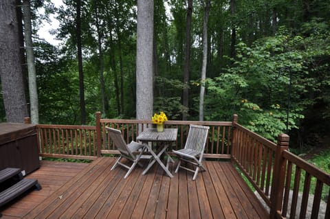 Fox back deck next to Hot tub