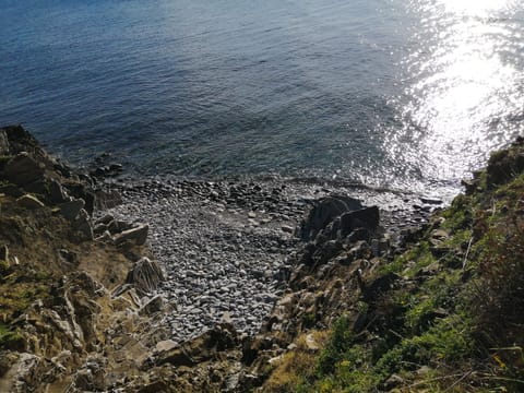 Beach nearby, sun loungers