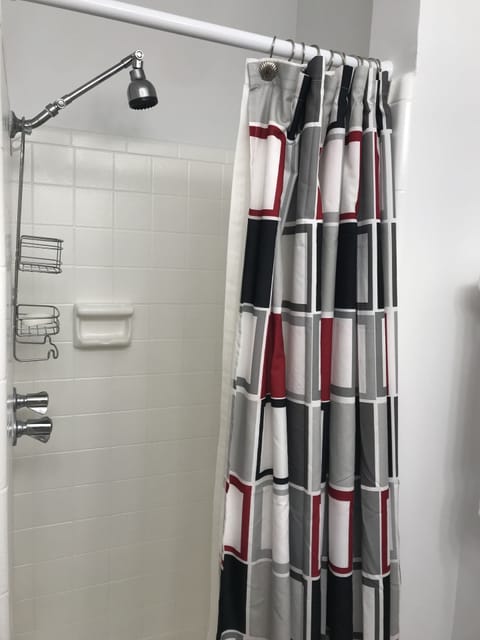 Combined shower/tub, hair dryer, towels, soap