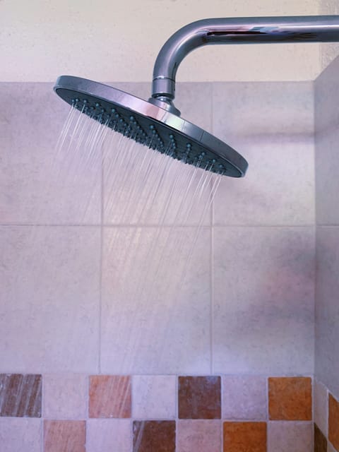 Hand-held showerhead