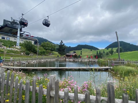 Surroundings [summer] (1-5 km)