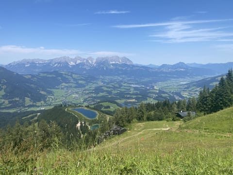 Surroundings [summer] (1-5 km)