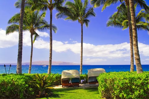 On the beach, sun loungers, beach towels