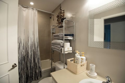 Combined shower/tub, hair dryer, towels, soap