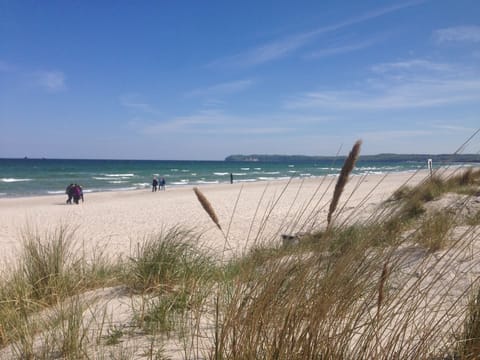 On the beach