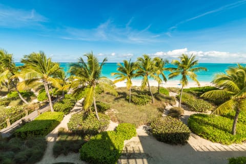 On the beach, sun loungers, beach towels