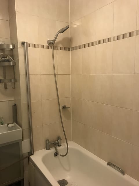 Combined shower/tub, hair dryer, towels, soap