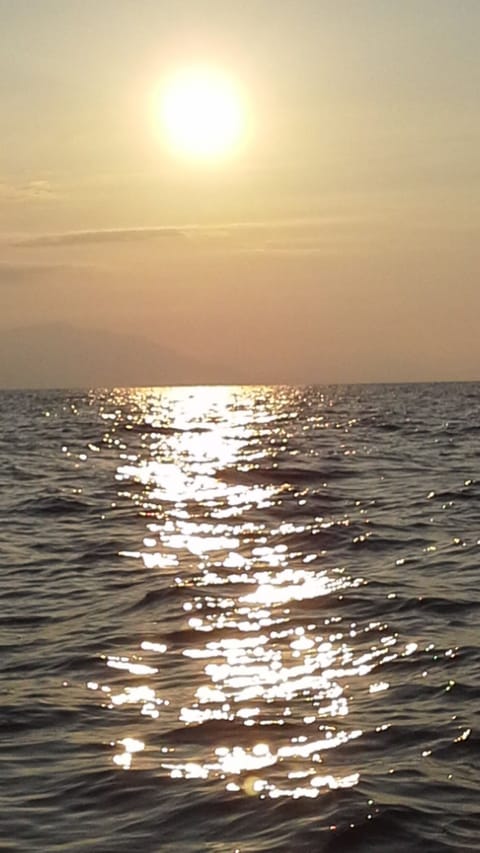 On the beach