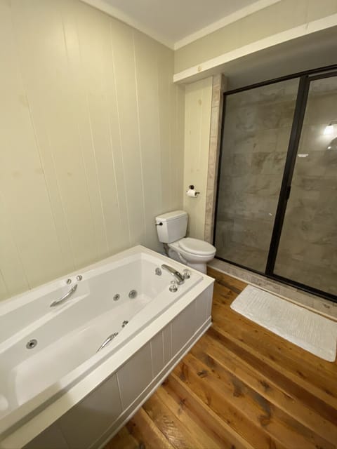 Combined shower/tub, jetted tub, hair dryer, towels