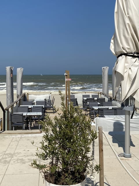 Beach nearby, sun loungers