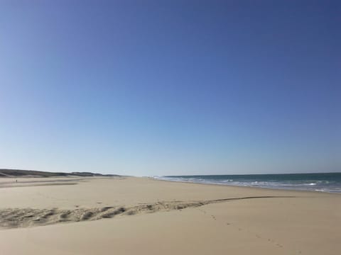 On the beach