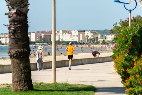 Beach nearby, sun loungers