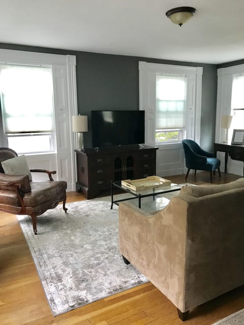 Large living room with desk area.  Couch pulls out to bed.