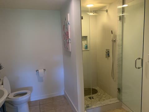 Combined shower/tub, hair dryer, towels, soap