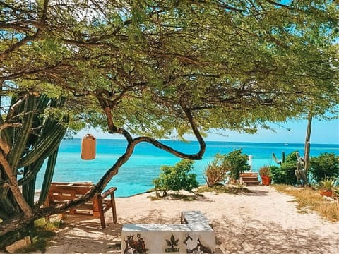 On the beach, sun loungers, beach towels