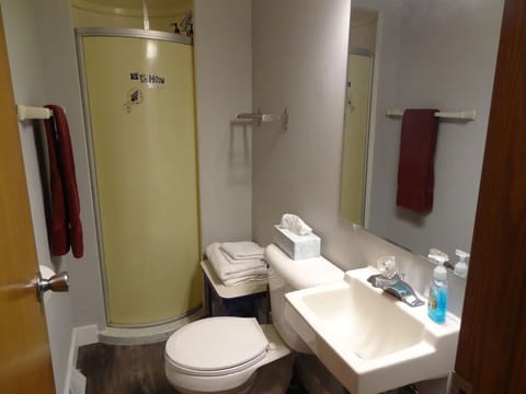 Combined shower/tub, hair dryer, towels