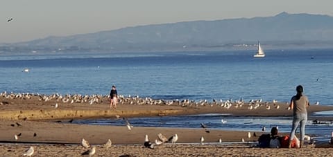 Beach nearby, beach towels