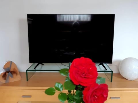 Television