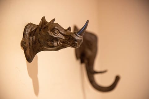 Mountain friends to hang a hat on