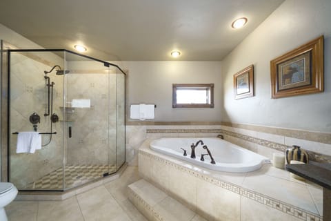 Combined shower/tub, hair dryer, towels