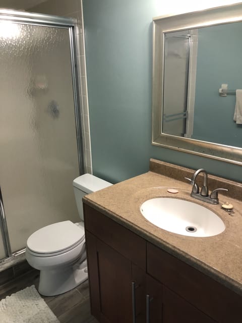 Combined shower/tub, hair dryer, towels, soap