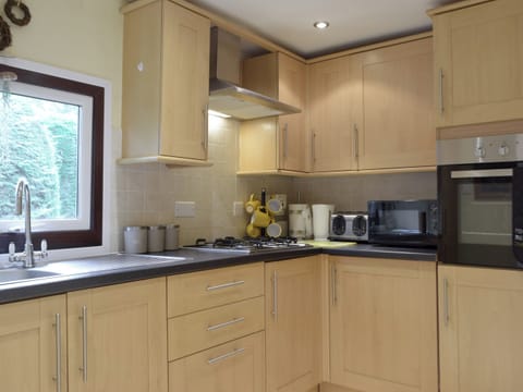 Kitchen | Owls About - Torwood Lodges, Cenarth, near Newcastle Emlyn