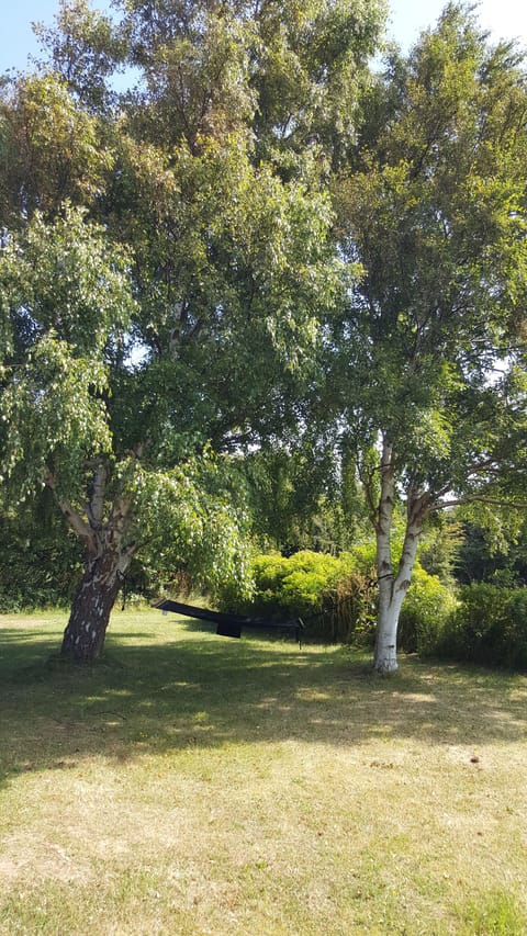 Backside of estate with hammock