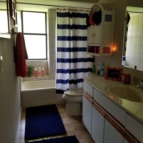 Combined shower/tub, hair dryer, bidet, towels