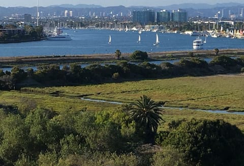 Top deck views of Marina Del Rey