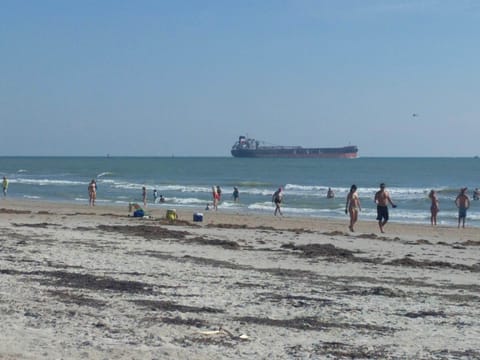 Beach nearby, sun loungers, beach towels