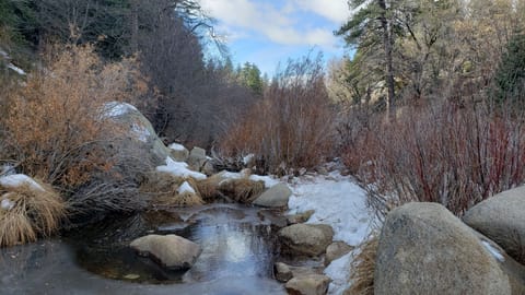 Creek a short hike away