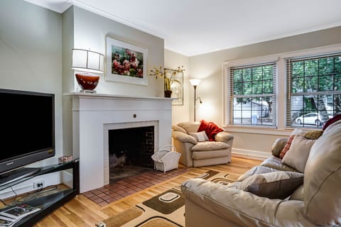 TV, fireplace, books