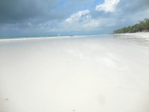 On the beach