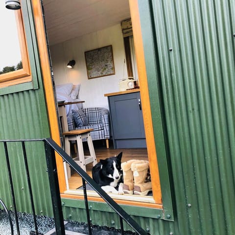 Taking a snooze after a long walk